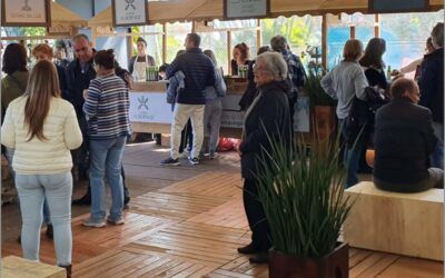 Olivas no Cais : setor da olivicultura realiza evento no Cais Embarcadero em Porto Alegre