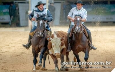 Final do Freio de Ouro na Expointer 2024 : seleção genética e cultura na prova de Cavalos Crioulos