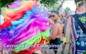 Carnaval 2026 em Campinas - Sortimentos Carnaval no Brasil