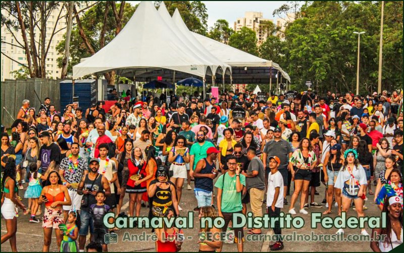 Sortimentos Carnaval de Rua 2025 . DF Folia 2025