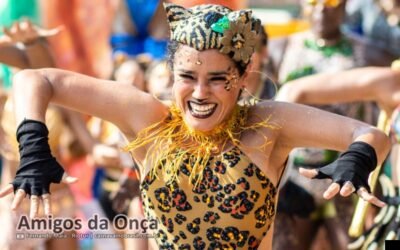 Fotos bloco Amigos da Onça no Carnaval de Rua 2026 do Rio de Janeiro