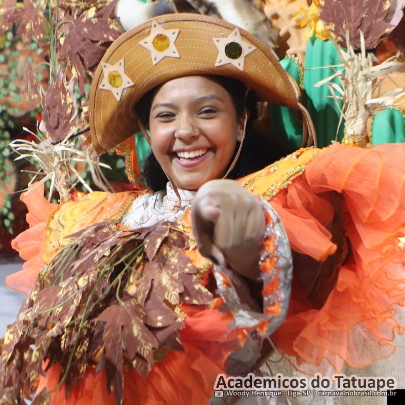 Desfile da Acadêmicos do Tatuapé no Carnaval 2026 de São Paulo