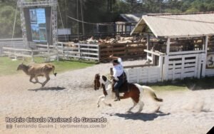 Rodeio Crioulo Nacional de Gramado 2026 - sortimentos.com.br