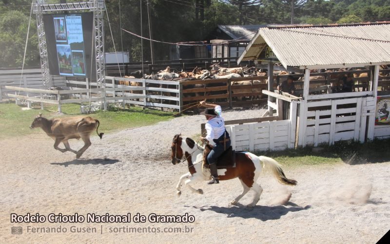 Rodeio Crioulo Nacional de Gramado 2026 - sortimentos.com.br