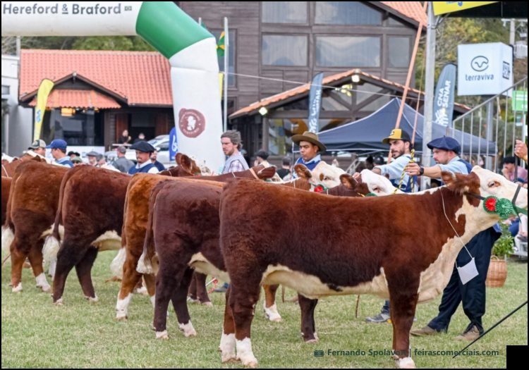 ABHB na Feira Expointer 2026