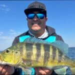 Pesca esportiva no balneário turístico Porto Camargo em Icaraíma / PR
