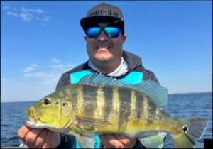 Pesca esportiva no balneário turístico Porto Camargo em Icaraíma / PR