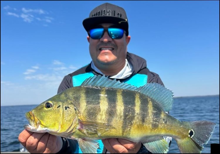 Pesca esportiva no balneário turístico Porto Camargo em Icaraíma / PR